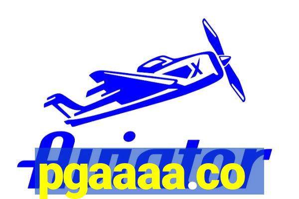 pgaaaa.co