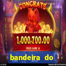 bandeira do flamengo emoji