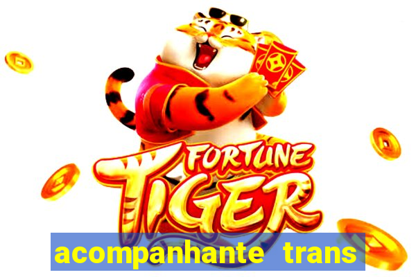acompanhante trans porto alegre