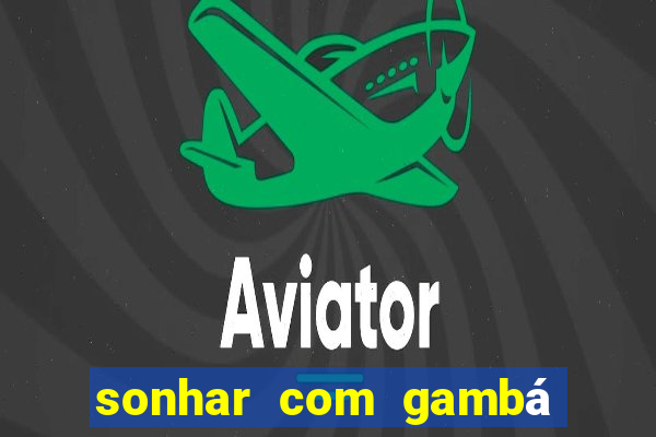 sonhar com gambá jogo do bicho