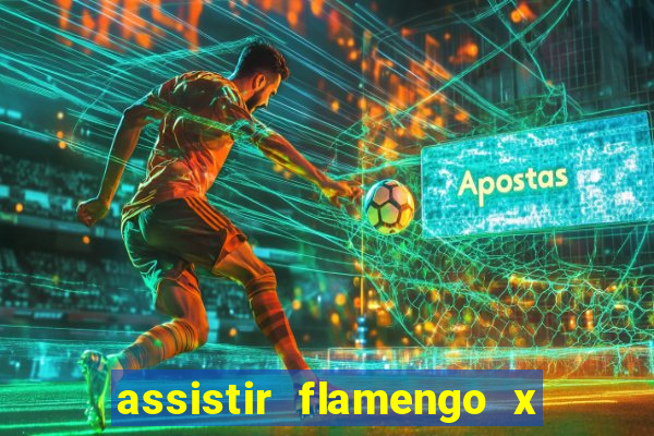 assistir flamengo x corinthians multi canais