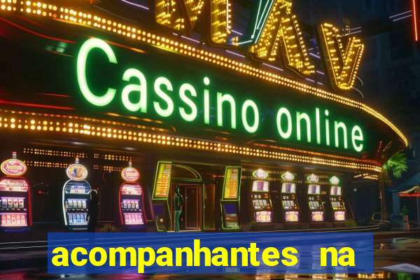 acompanhantes na vila nova cachoeirinha sp