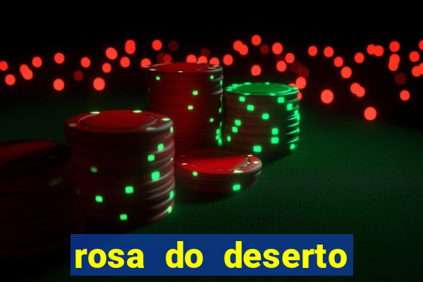 rosa do deserto lilac frost