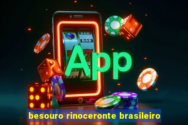 besouro rinoceronte brasileiro