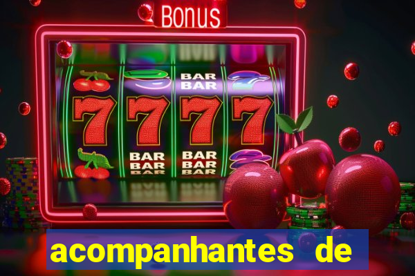 acompanhantes de juiz de fora