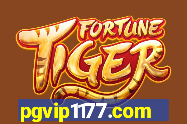 pgvip1177.com