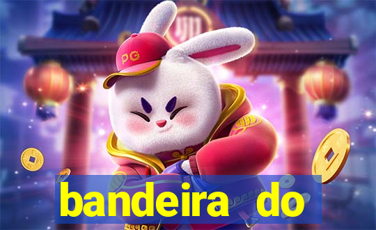 bandeira do flamengo para copiar