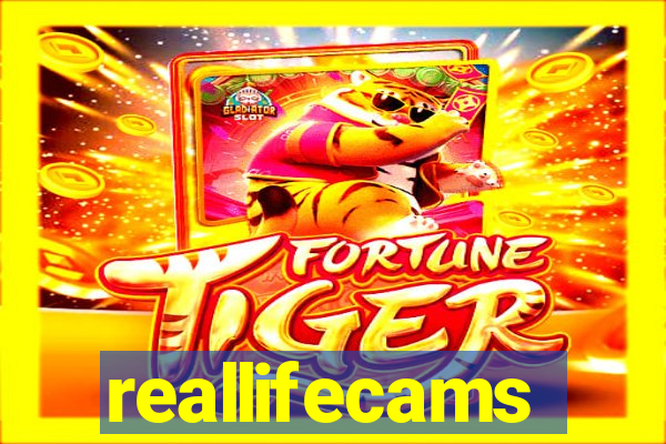 reallifecams