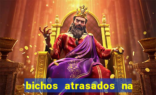 bichos atrasados na loteria federal