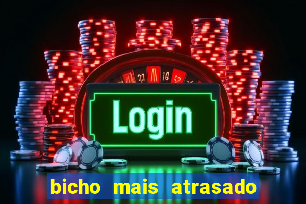 bicho mais atrasado na bahia