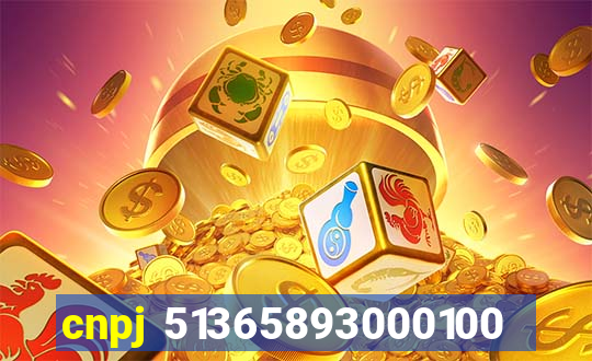 cnpj 51365893000100