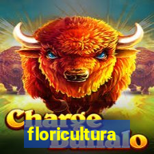 floricultura botafogo rio de janeiro