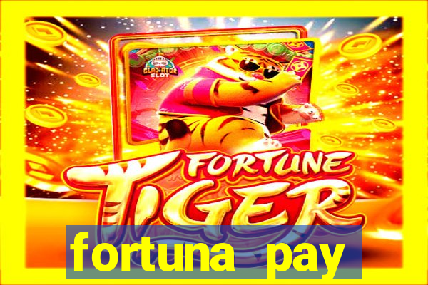 fortuna pay consultoria financeira ltda