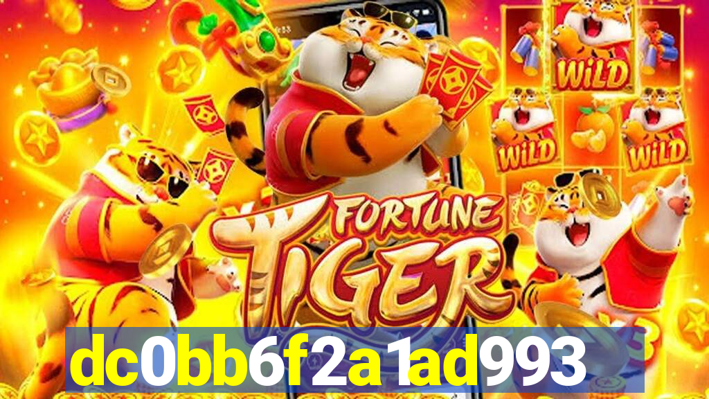 plataforma 8855bet.com