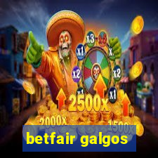 betfair galgos