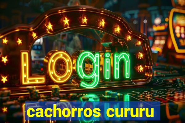 cachorros cururu