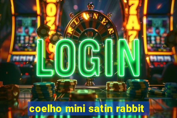 coelho mini satin rabbit