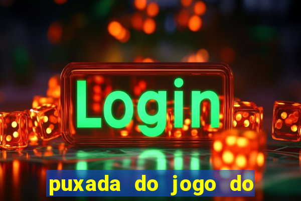 puxada do jogo do bicho da sueli