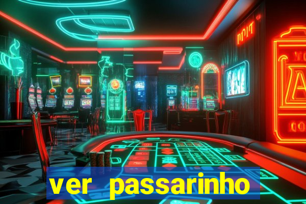 ver passarinho morto significado espiritual