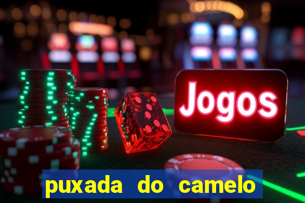 puxada do camelo no jogo do bicho
